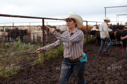 Female Rancher Working Cattle 205071