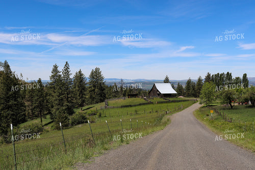 Mountain Ranch 188013