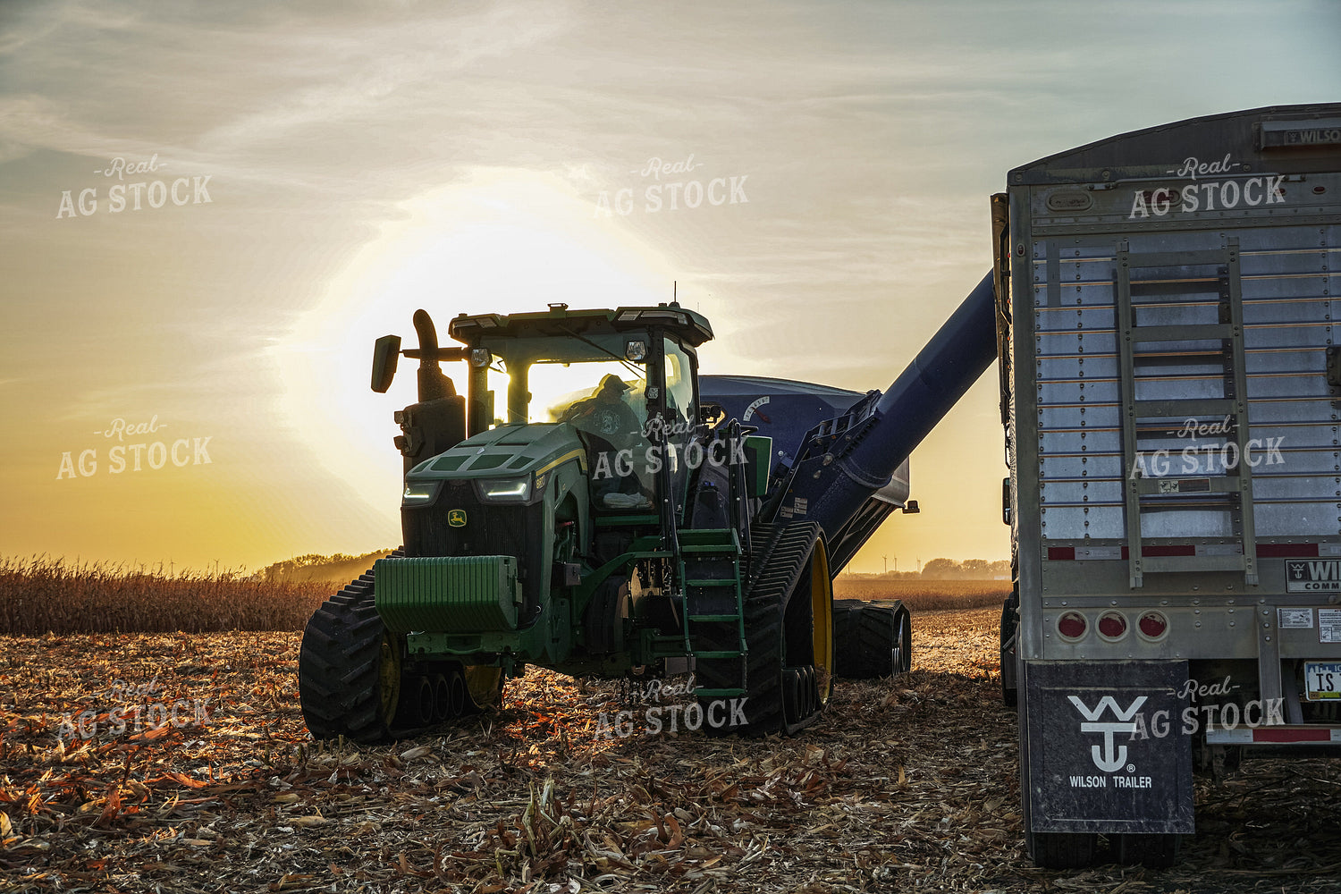 Corn Harvest 273000