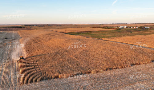 Aerial of Corn Harvest 141080