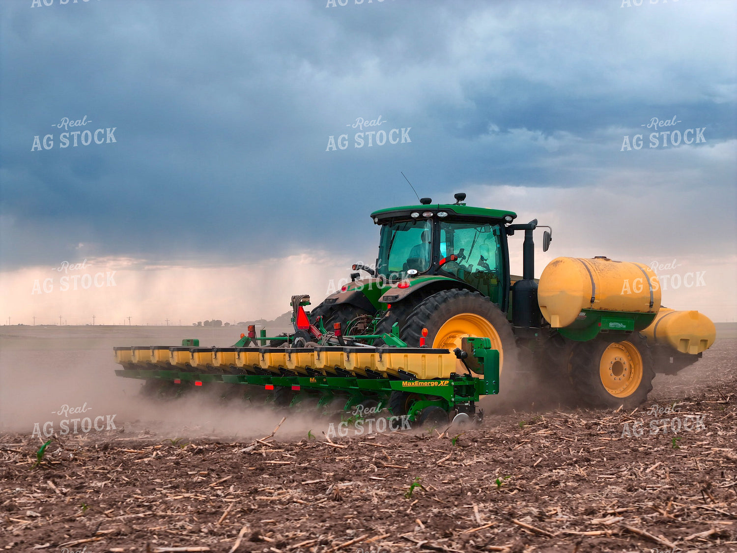 Planting 239591