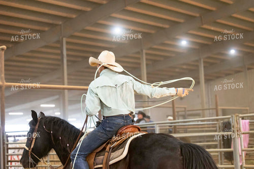 Roping Cattle 205166