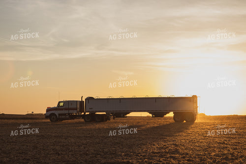Semi Truck in Soybean Field 67283