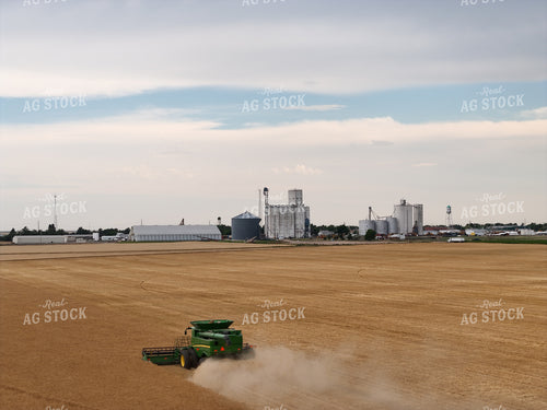 Wheat Harvest 239031