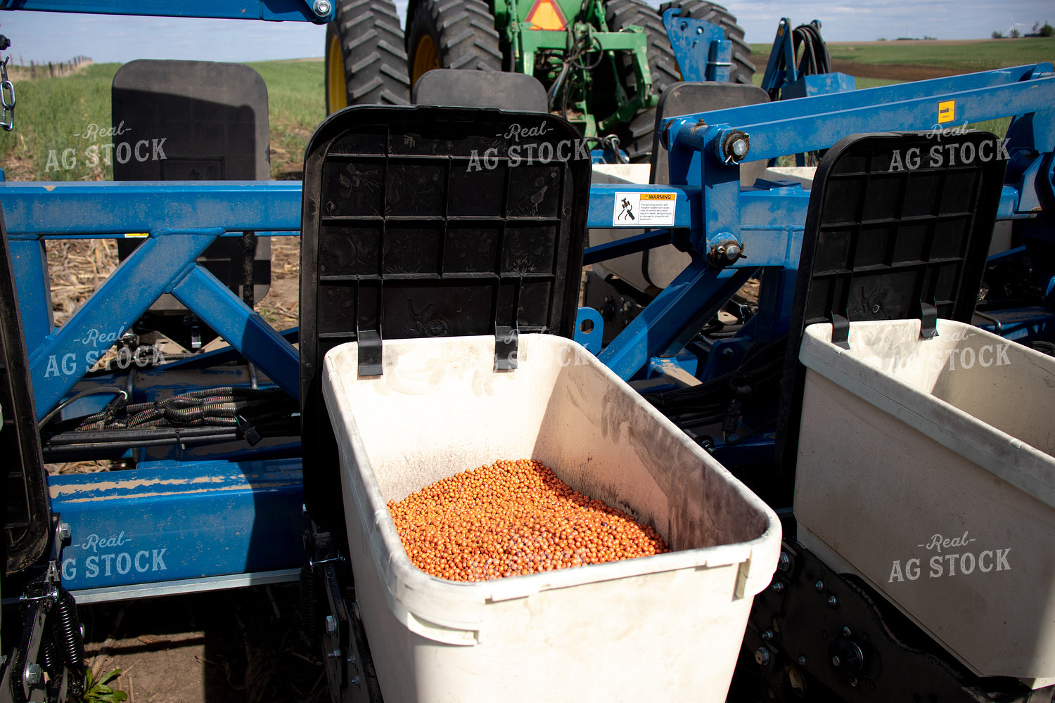 Soybeans in Planter Box 67077