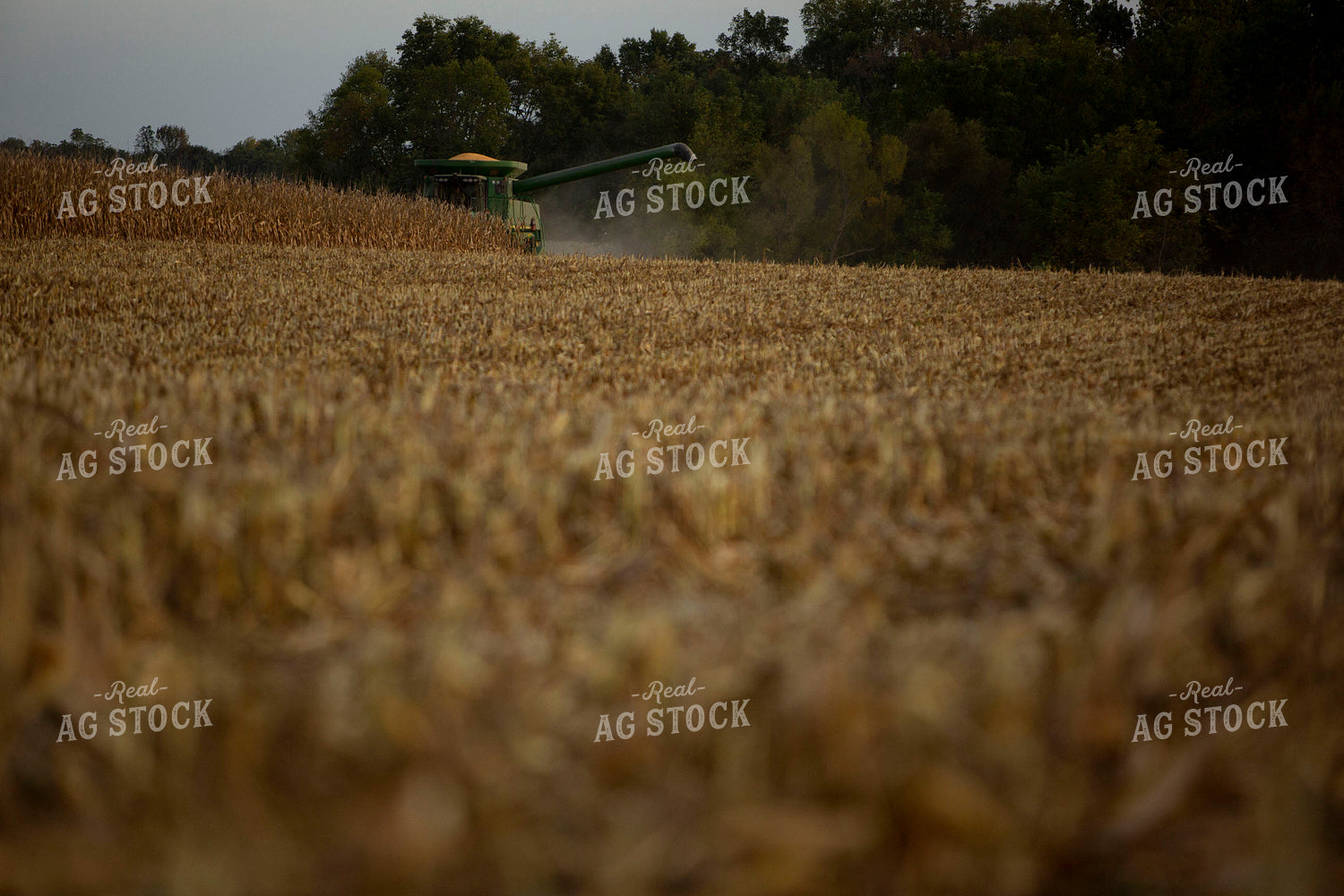 Harvest 1729