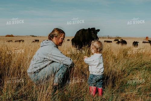Ranch Family Checks Cows 187089
