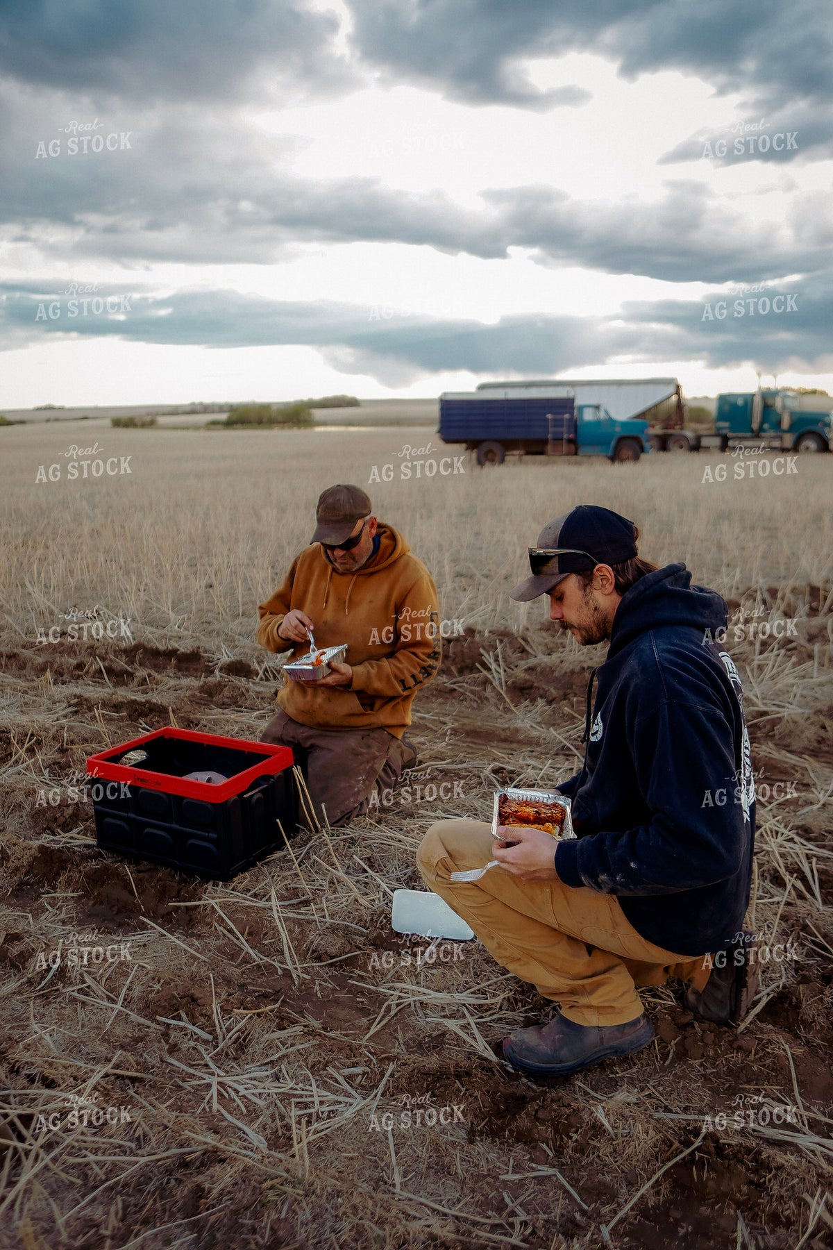 Farmers Eating Field Meal 187377