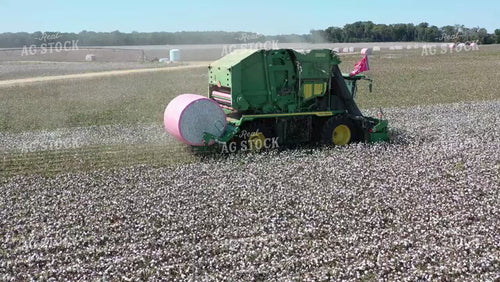 Cotton Harvest 79435