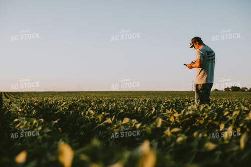 Farmer in Soybean Field with Tablet 6139