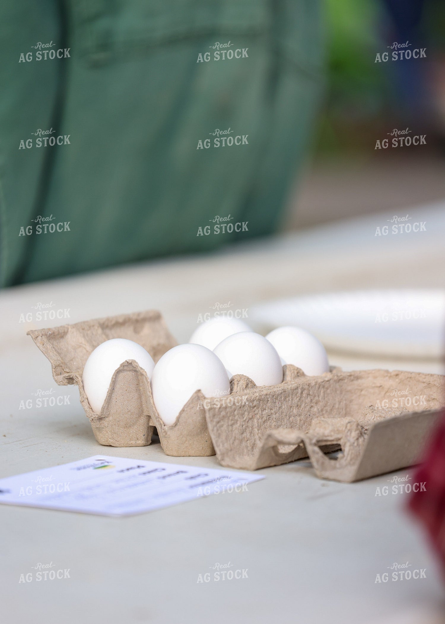 Showing Eggs 160127
