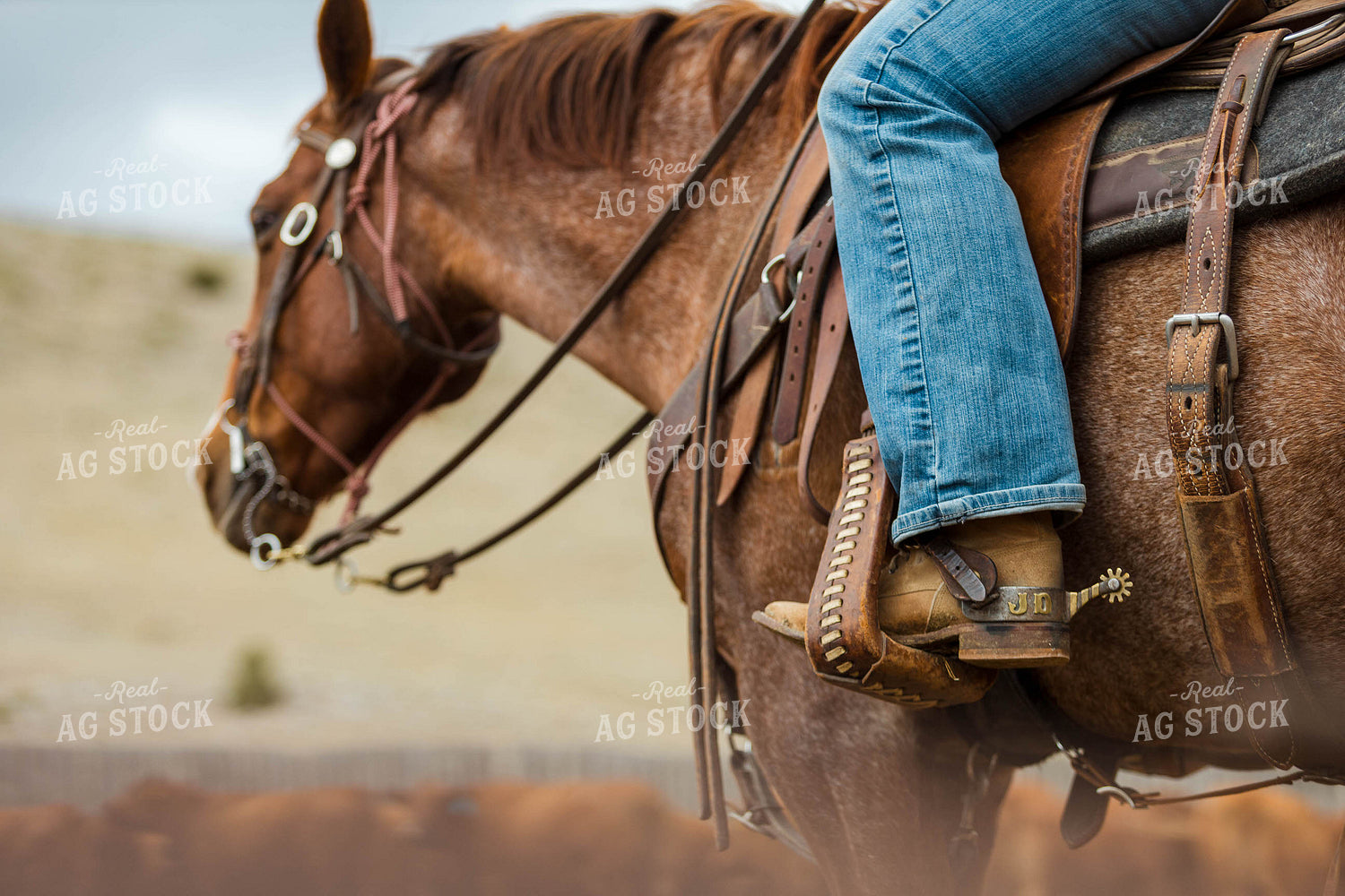 Rancher on Horseback Close Up 97230
