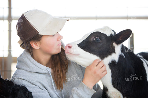Farm Kid with Holstein Calves 55309