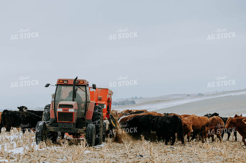 feed mixer Dispensing Feed 77172