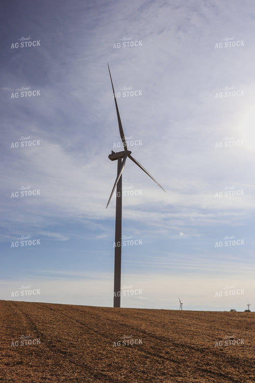 Windmill in Harvested Soybean Field 67029