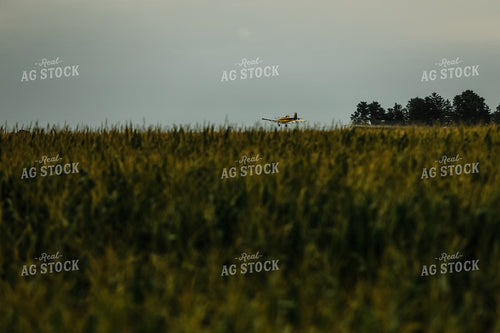 Crop Duster Corn Field 3137