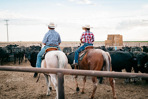 Ranch Kids on Horseback at Feedyard 218038