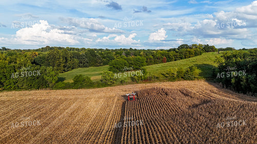 Corn Harvest 191275
