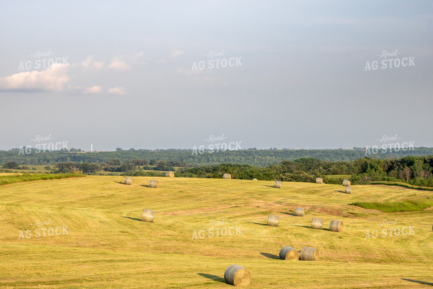 Scenic Hay Field 214242