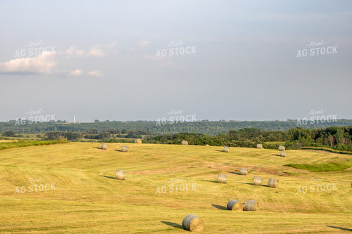 Scenic Hay Field 214242