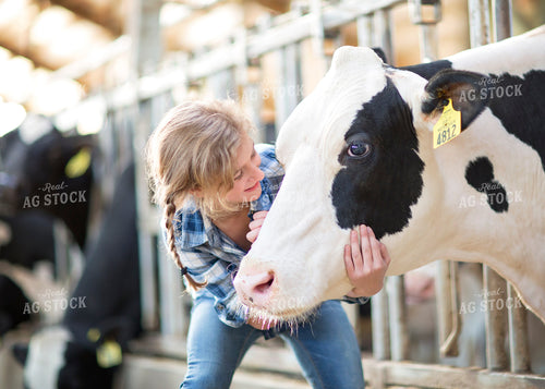 Farm Kid and Holstein Cow 55130