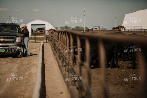 Feedyard 3035
