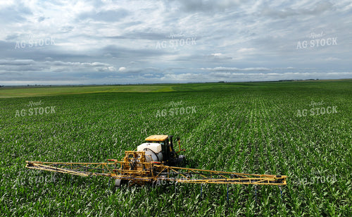 Y Dropping Corn 141370