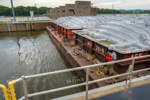 Grain Transportation on Barges 154119