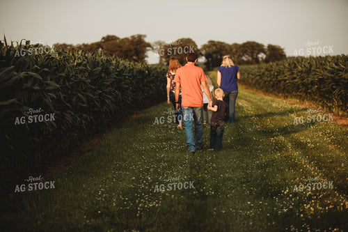 Farm Family Walking Alongside Corn Fields 4541
