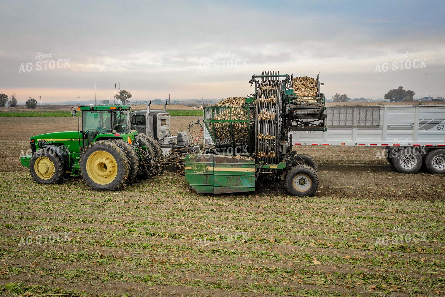 Sugar Beet Harvest 56498