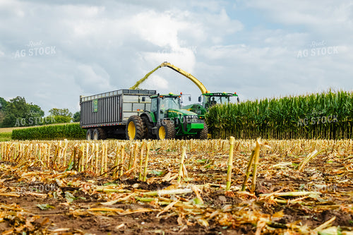 Corn Silage Harvest 272053