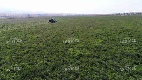 Cutting Alfalfa Field 51053