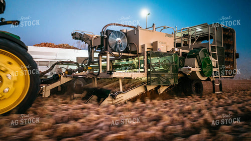 Onion Harvest 56725