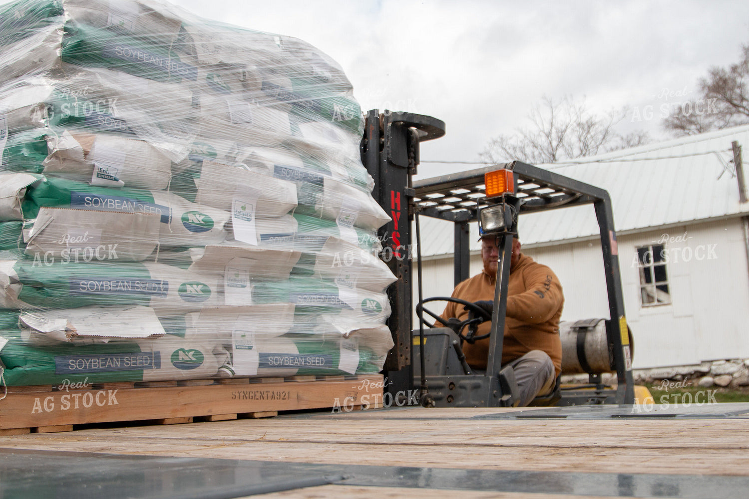 Unloading Soybean Seed Bags from Trailer 157285