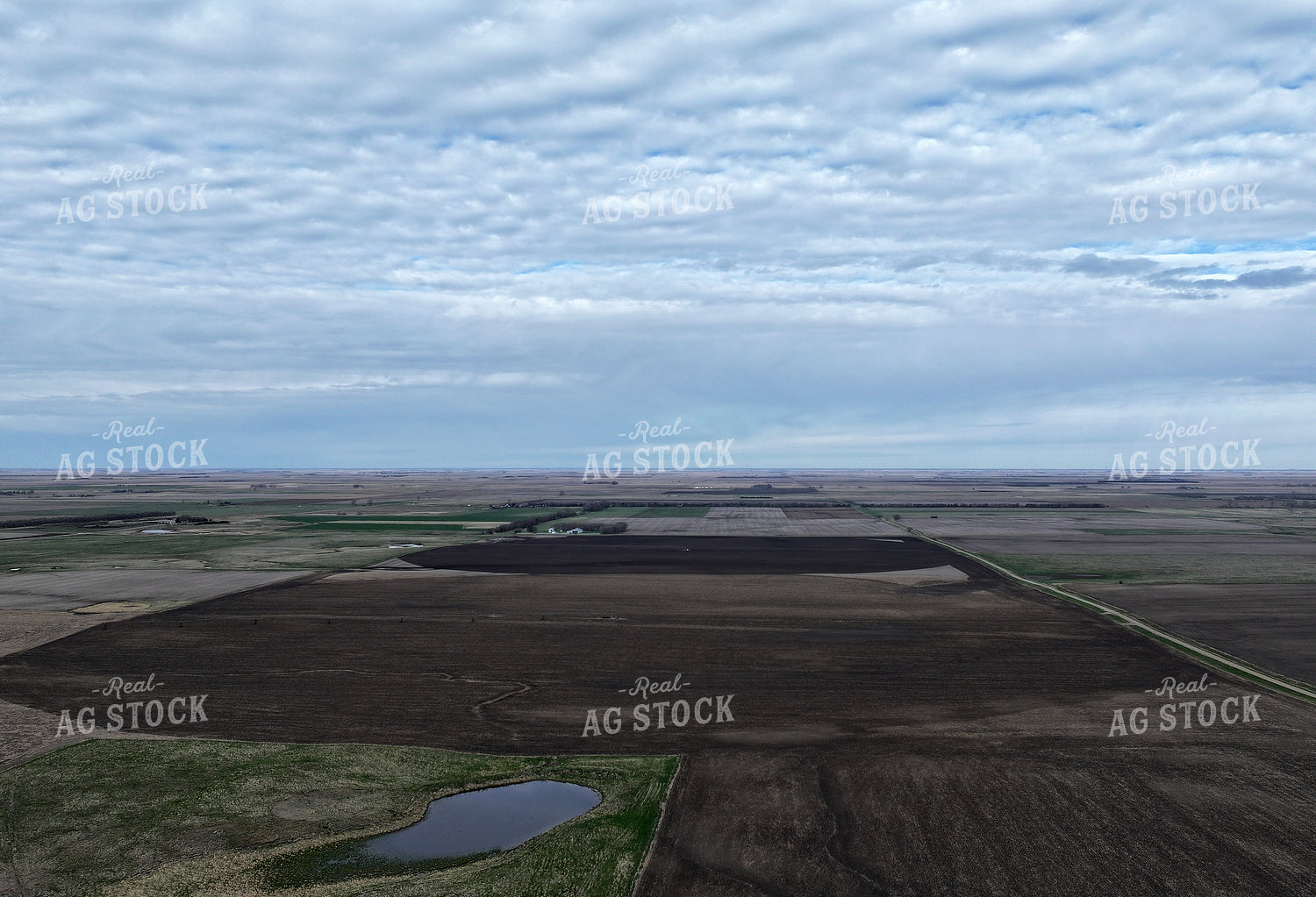 Rural Landscape 141533