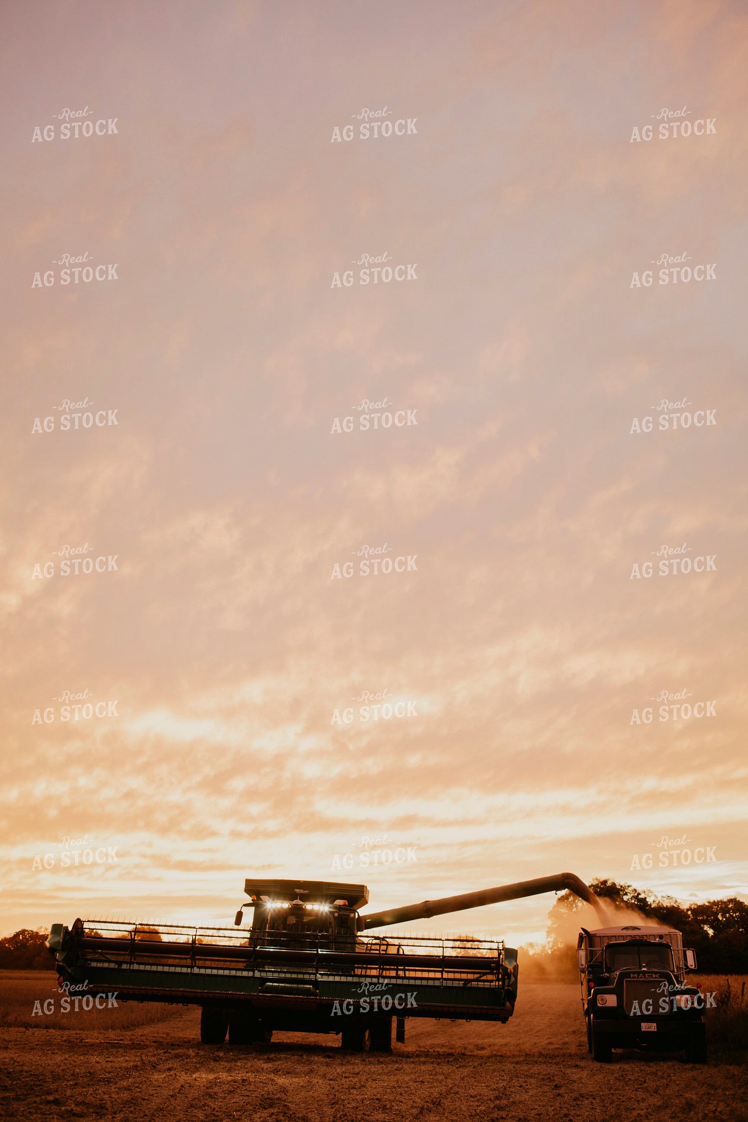 Harvest 2654