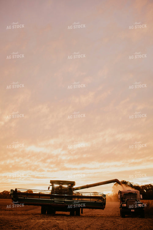 Harvest 2654