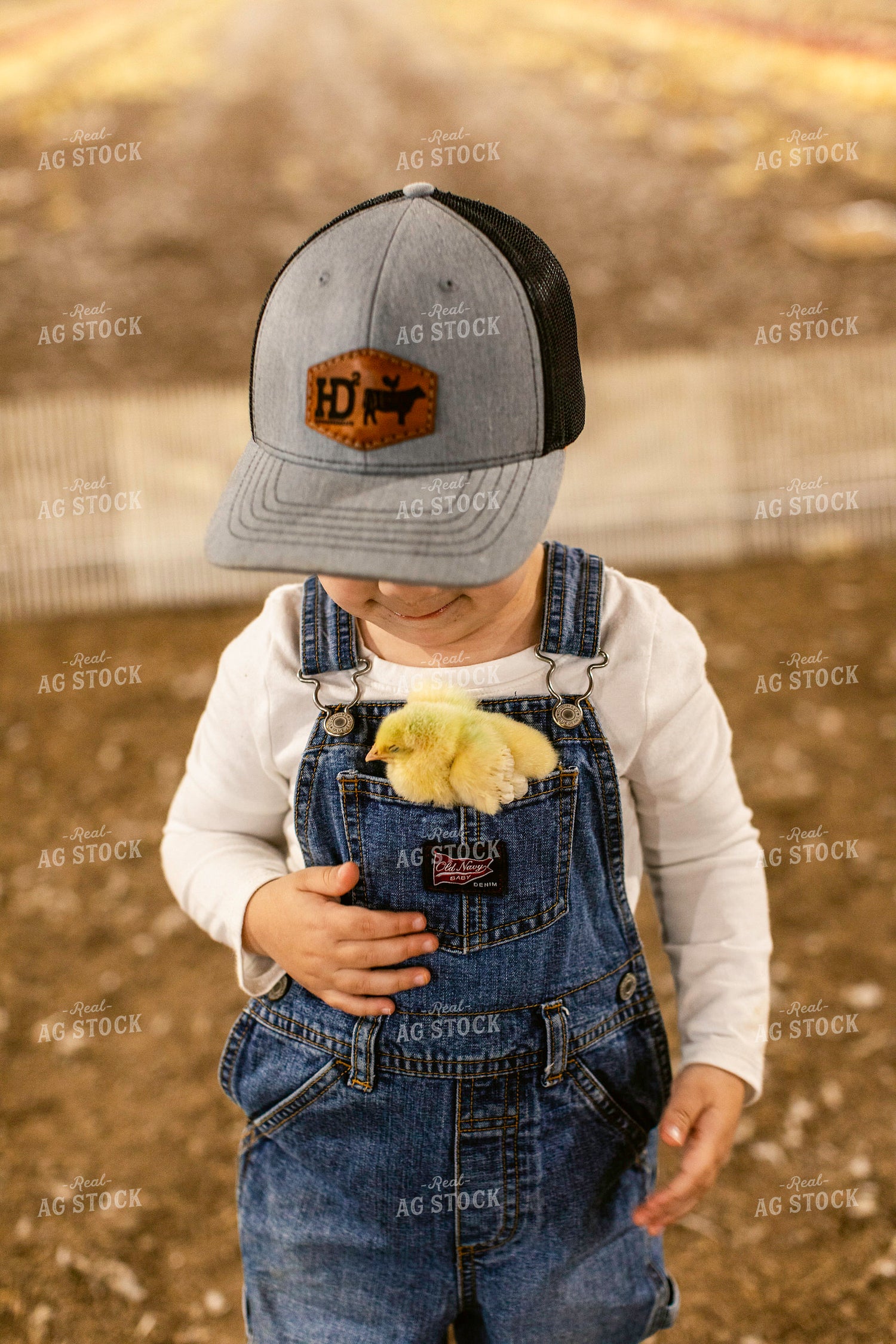 Farm Kid in Chicken Barn 280017