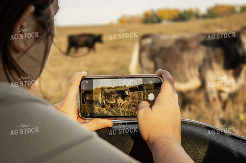 Female Rancher Taking Picture 155064