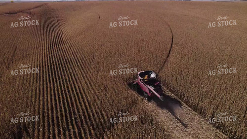 Corn Harvest 114079
