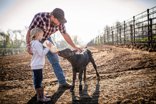 Rancher and Daughter Feeding Calf 285035