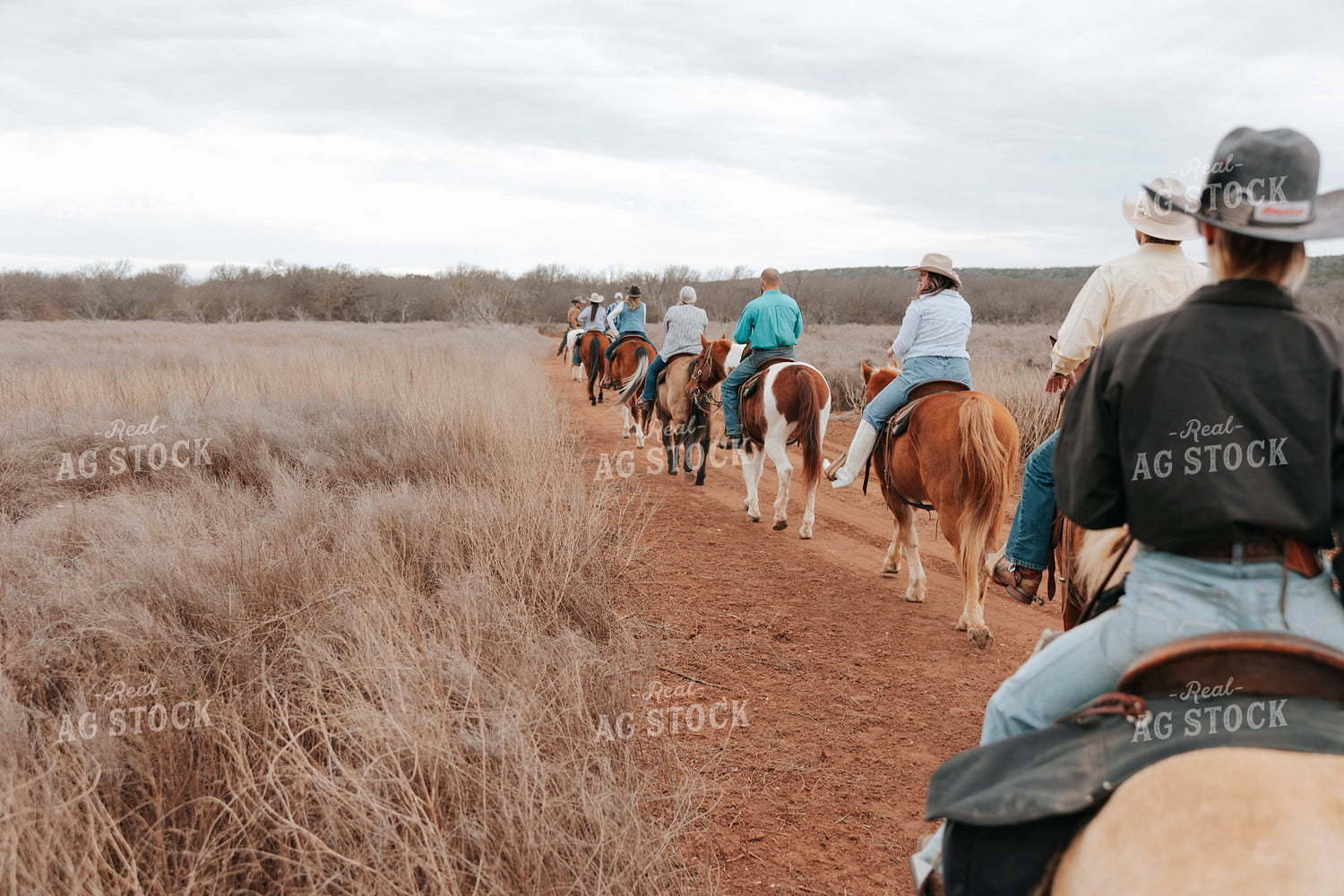 Trail Ride 205141