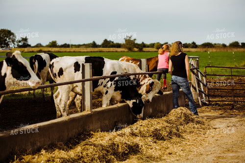 Dairy 2711