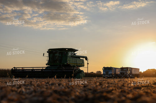 Combine and Trucks During Soybean Harvest 160414