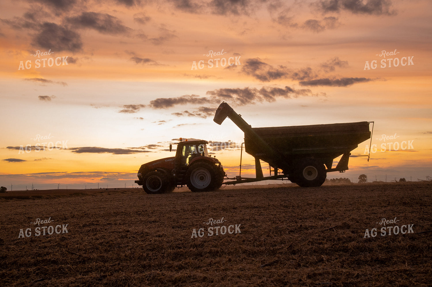 Grain Cart Driving in Soybean Field at Sunset 25711