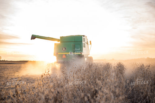 Combining Soybeans 74050