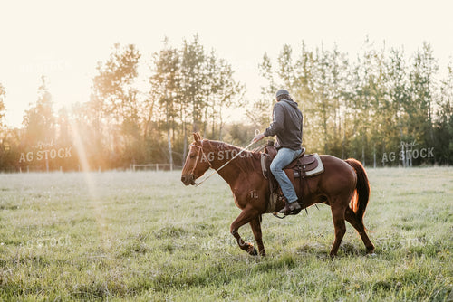 Rancher on Horseback 64147