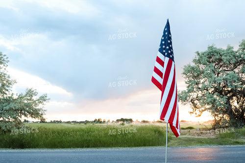Flag in Farm Yard 83049