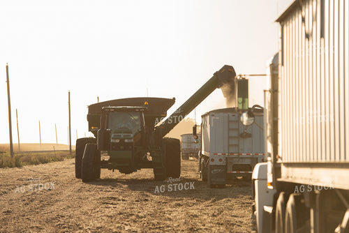 Soybean Harvest 274017