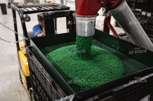 Treating Seed 196010